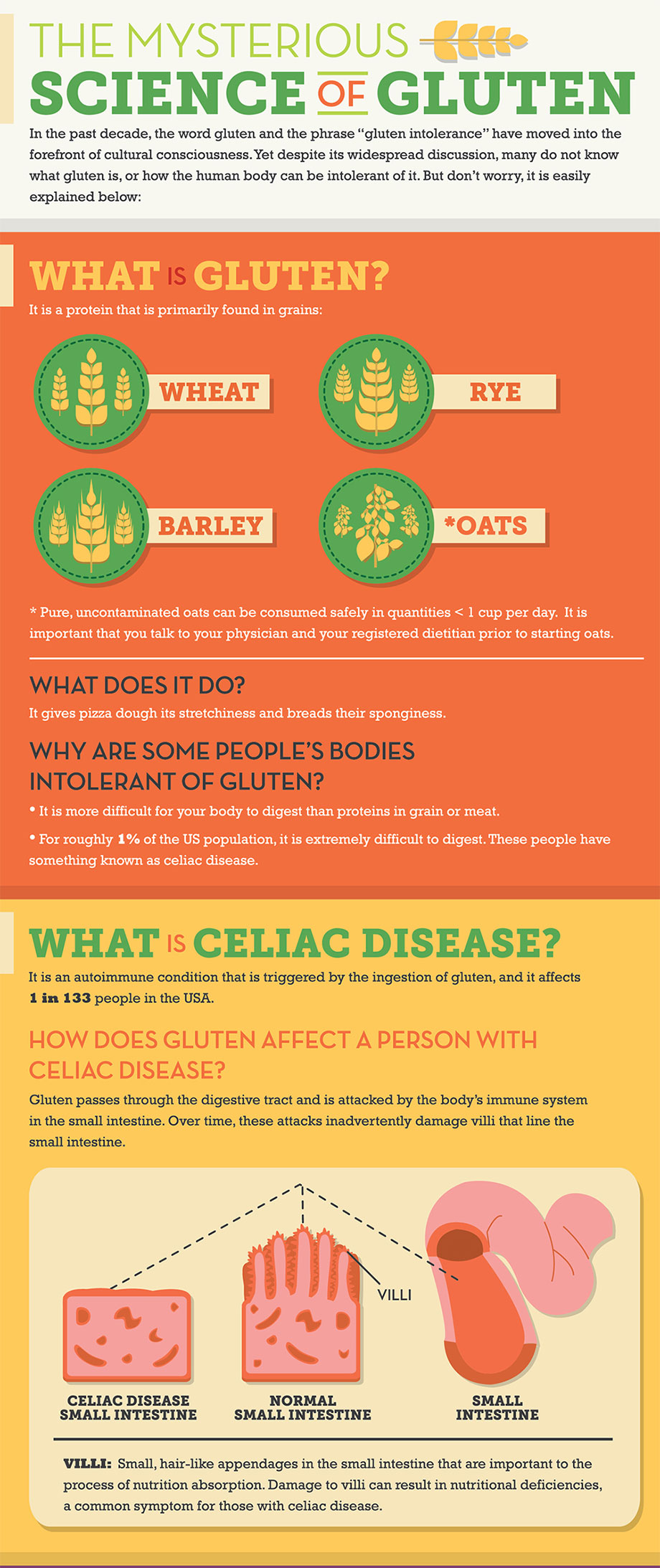 What is gluten and gluten intolerance